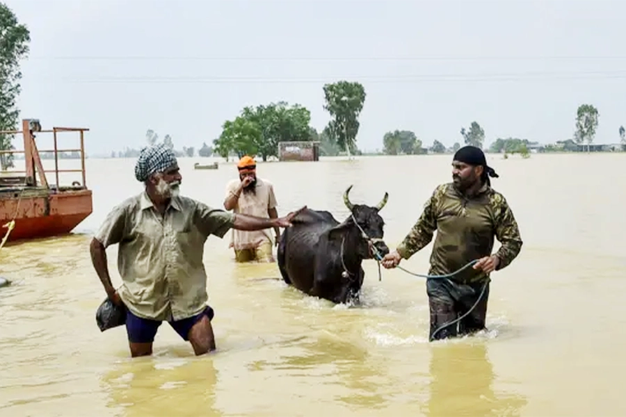 Punjab Flood Relief Efforts