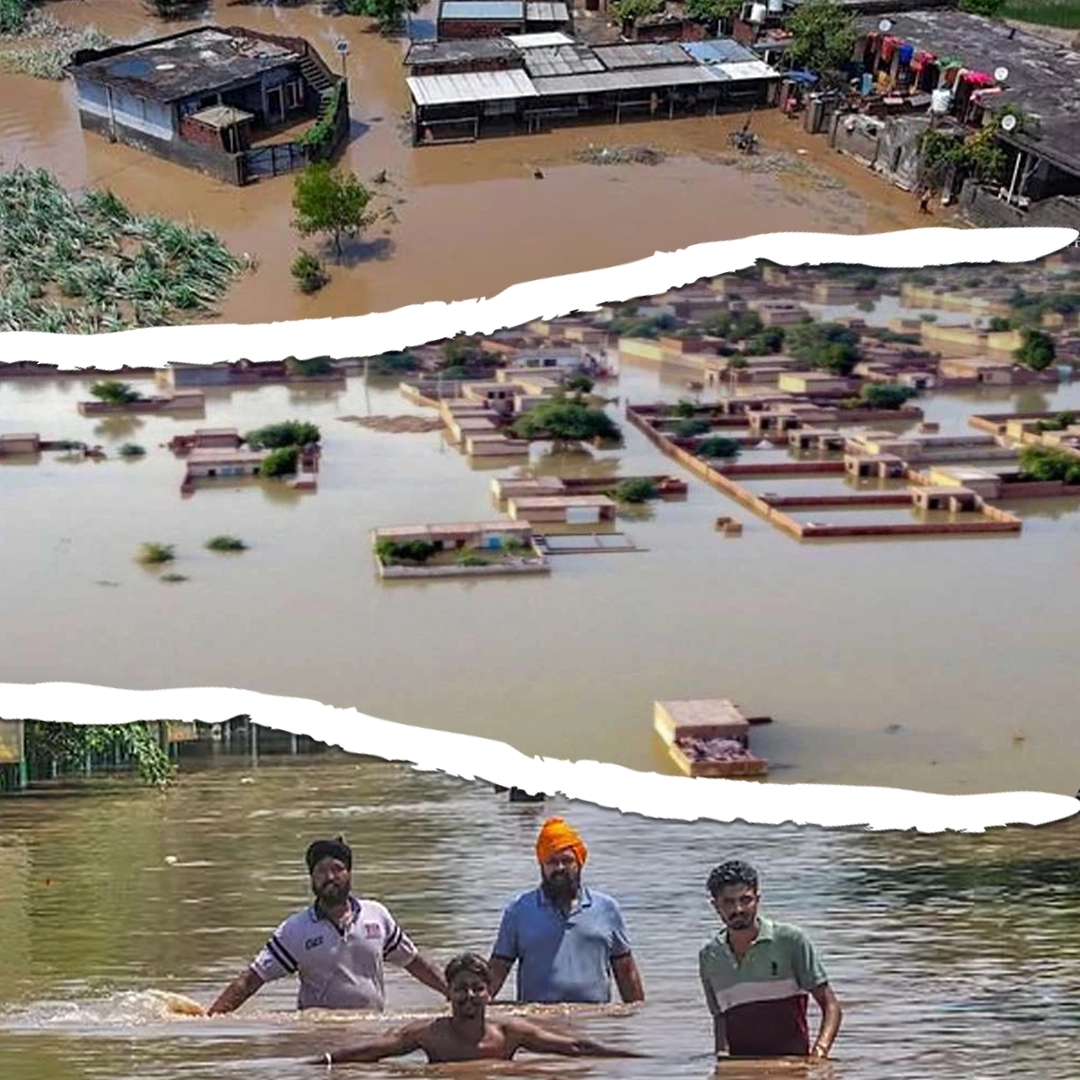 Destroyed homes