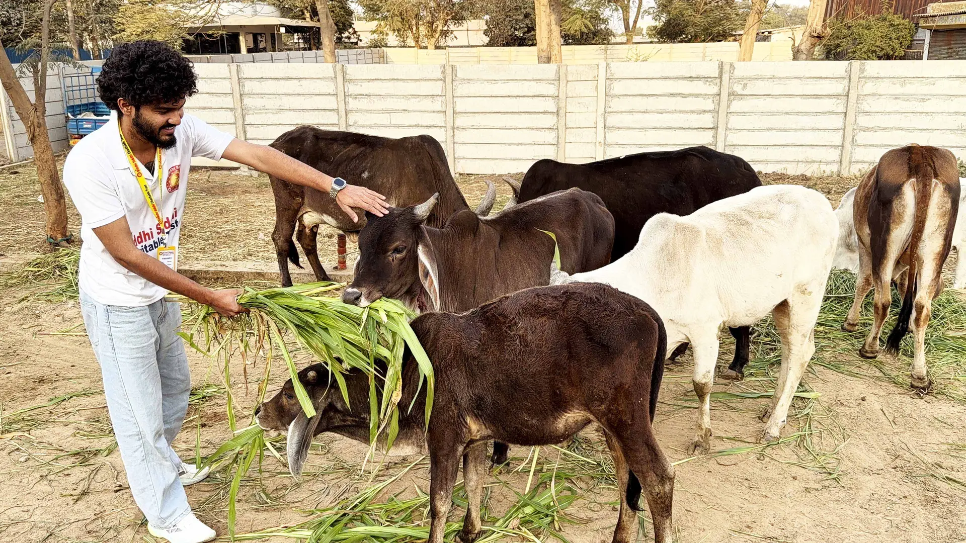 riddhi siddhi charitable trust